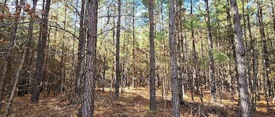 0 Shepherds Rd, Partlow, VA 22534 - photo 3