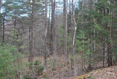 00 Lewis Hill Rd, Newfield, ME 04095 - photo 4