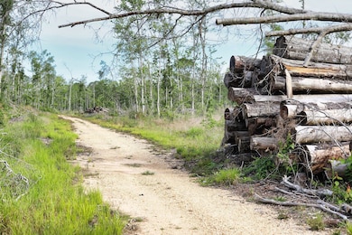 00 Louisiana 442, Tickfaw, LA 70466 - photo 4