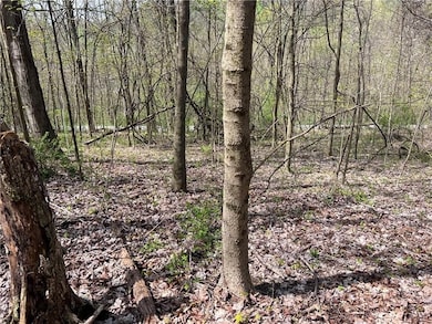 1938 Beham Ridge Rd, Claysville, PA 15323 - photo 5