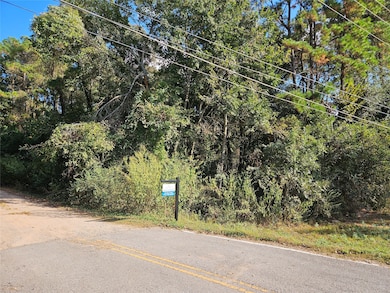 0 Hardin Store unit 12393015, Magnolia, TX 77354 - photo 7