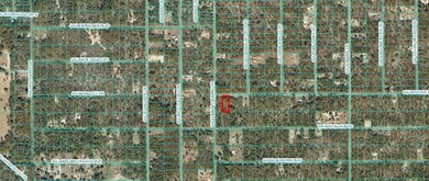 4811 NE 141st Ave, Williston, FL 32696 - photo 4