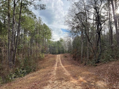 107 Fairview Dr, Petal, MS 39465 - photo 3