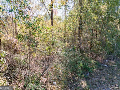 6.98 ACRES Brewton Lovett Rd, East Dublin, GA 31027 - photo 6