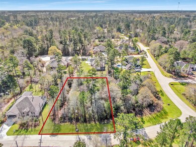 25210 Melanie Pointe, Tomball, TX 77375 - photo 3