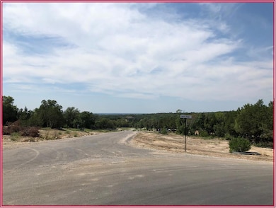 256 Eagles Ridge Ct, Weatherford, TX 76087 - photo 3