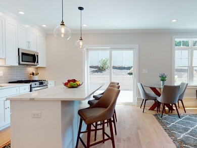 315 College Farm Rd unit 4, Waltham, MA 02451 - photo 3