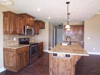 1668 E Chickamauga Dr, Republic, MO 65738 - photo 5