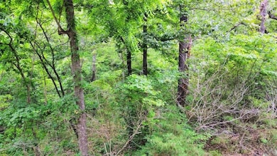 Highlander Place unit J 2, Edwards, MO 65326 - photo 7