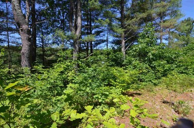 129 Newbury Rd, Bradford, NH 03221 - photo 7