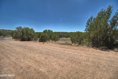 1916 Daggs Cir, Show Low, AZ 85901 - photo 2