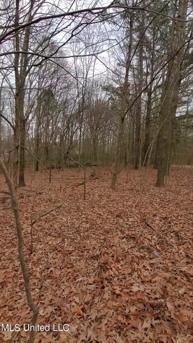 Woods