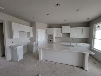 123 Prairie Trail, Rhome, TX 76078 - photo 5