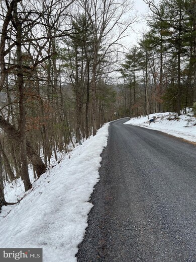 0 Lee Rd - Lot 101 Sec 9 unit VASH2002206, Basye, VA 22810 - photo 3