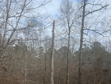 0000 Sunshine Dr, Sparta, GA 31087 - photo 6