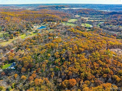 19005 Old Wild Turkey Ln, Wildwood, MO 63069 - photo 7