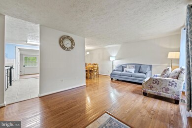 6100 Mantle Rd, Burke, VA 22015 - photo 5