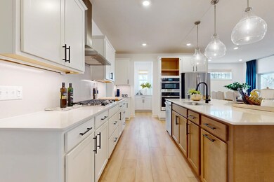 Photo of a decorated model. Features will vary.