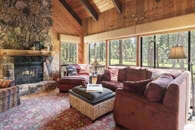 3-web-or-mls-70484 Fleabane, Sisters-6