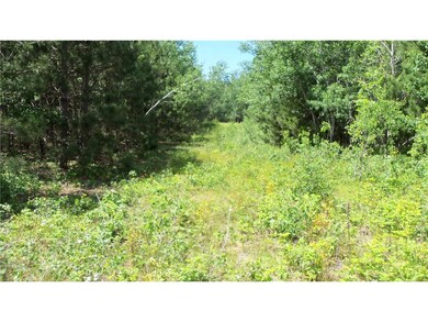Lot 10 Maple Ln, Siren, WI 54872 - photo 5