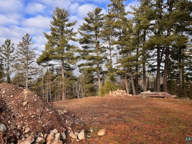 View of nature