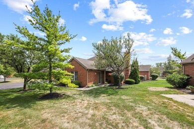 2-web-or-mls-GR7A7284