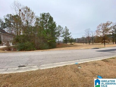 501 Timberline Trail, Calera, AL 35040 - photo 4