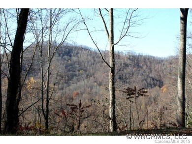 Moderately Wooded Lots