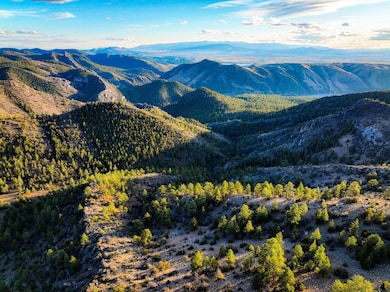 6245 McGee Ln, Helena, MT 59602 - photo 5