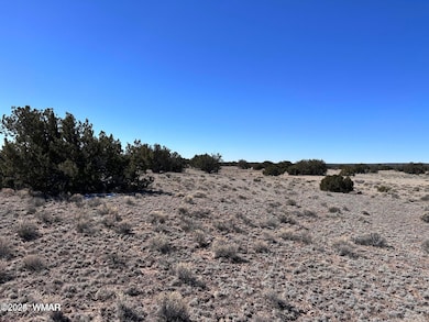 004P N7204, St. Johns, AZ 85936 - photo 2