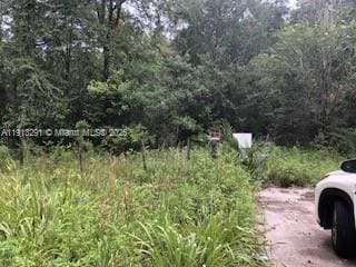 19220 N Highway 329, Micanopy, FL 32667 - photo 2