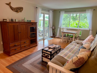 60 Fletcher Ln unit C, Brewster, MA 02631 - photo 7