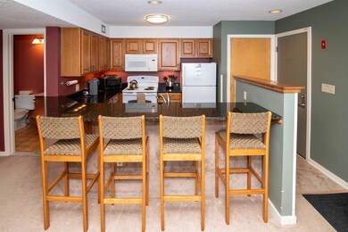 350 Mountain Rd unit 207, Ludlow, VT 05149 - photo 6