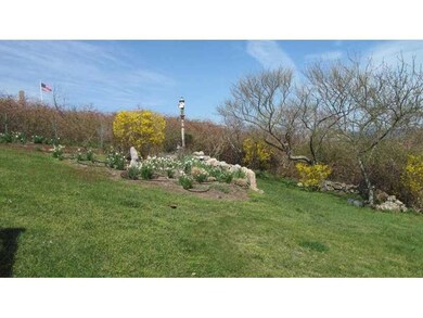 Yard/Garden.