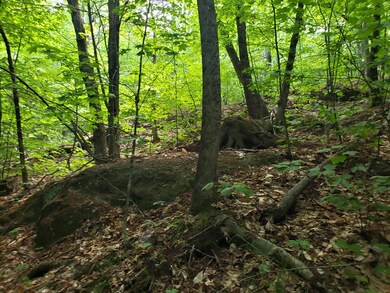 ledges
