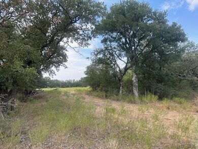 1901 Poe Prairie Rd, Millsap, TX 76066 - photo 5