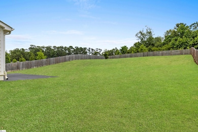 218 Deerview Trail, Simpsonville, SC 29680 - photo 7