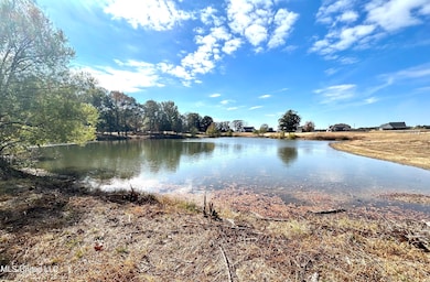 lake view 1