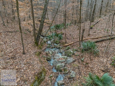 0 Dennis Creek Rd unit 158990, Talbotton, GA 31827 - photo 3