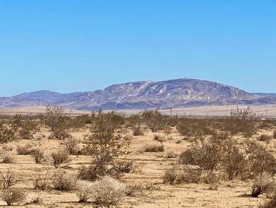 IMG_1025