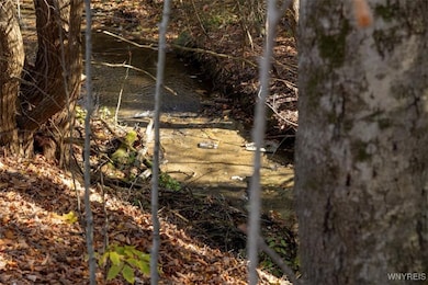 9881+9937 Larkin Rd, Eden, NY 14057 - photo 4