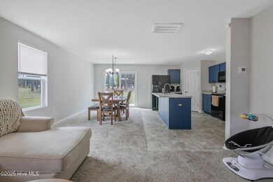 175 Desert Orchid Cir, Raeford, NC 28376 - photo 4