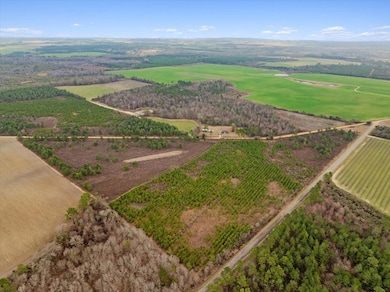 0 Blue Springs Rd unit 138600, Sylvester, GA 31791 - photo 6