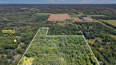 19687 East Ave N, Battle Creek, MI 49017 - photo 5