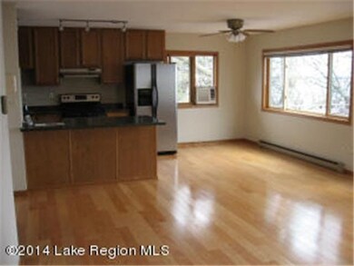 38650 Eldorado Beach Rd, Battle Lake, MN 56515 - photo 7