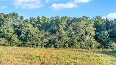 View of local wilderness