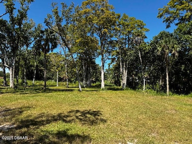 0 Shady Place, Daytona Beach, FL 32114 - photo 5