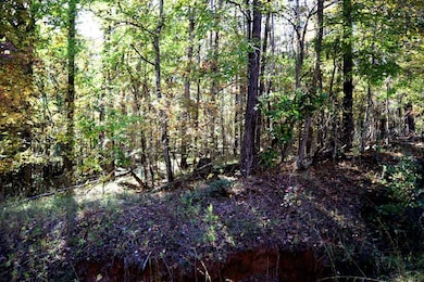 Lt.177 Laurel Way, Sparta, GA 31087 - photo 3