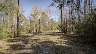 Tract #2 Deerpond Rd, Other, TX 75904 - photo 7