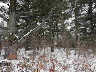 2007 Bloedel Ave, Weston, WI 54476 - photo 3